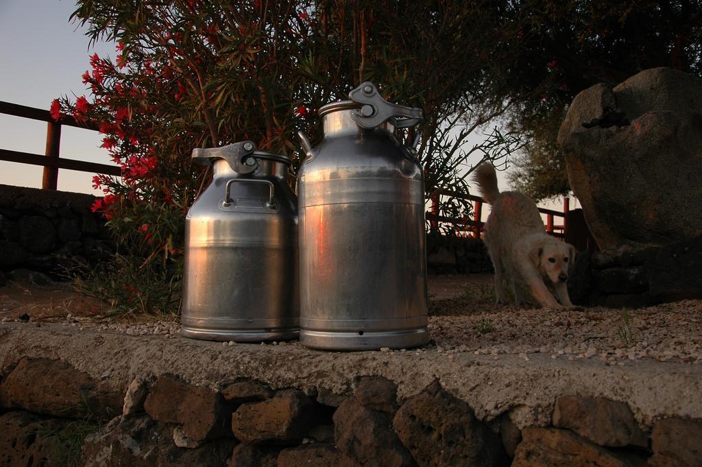 Agriturismo Codula Fuili Villa Cala Gonone Buitenkant foto