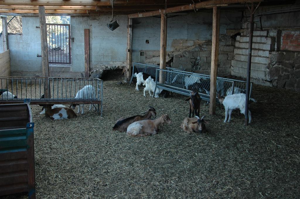 Agriturismo Codula Fuili Villa Cala Gonone Buitenkant foto